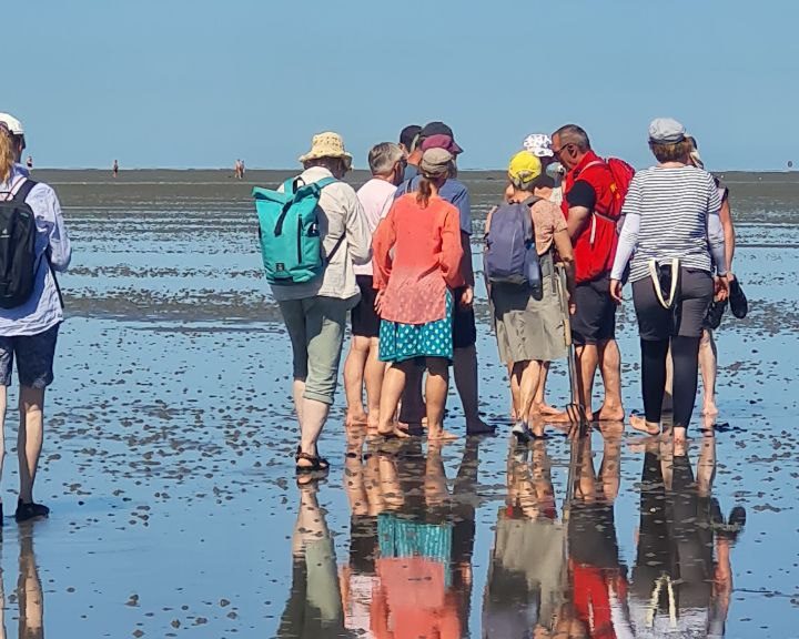 Gruppe Wattwandernde Hamburg Guides bei bestem Wetter
